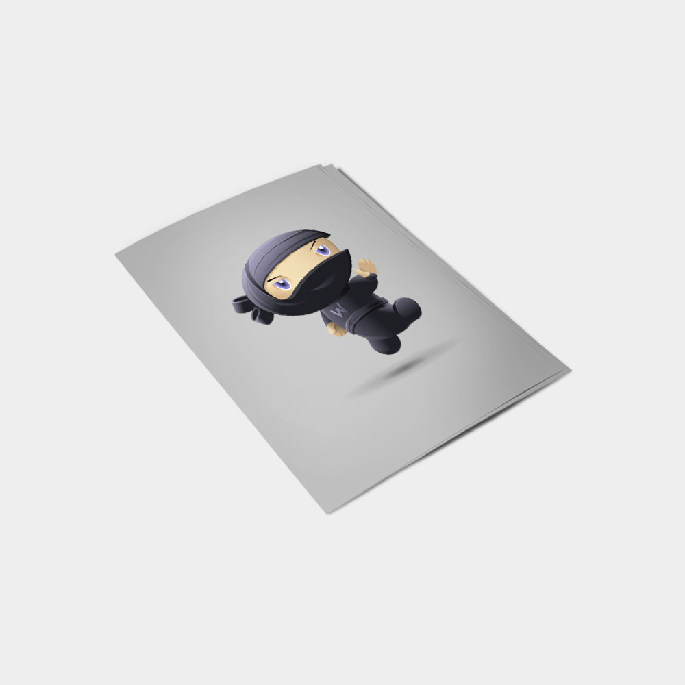 Flying Ninja - obrazek 2